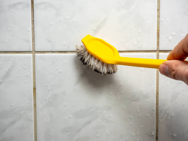 Best Office Mold Removal Services  in Elwood, UT